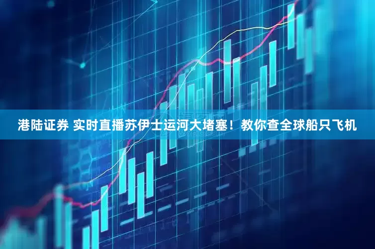 港陆证券 实时直播苏伊士运河大堵塞！教你查全球船只飞机