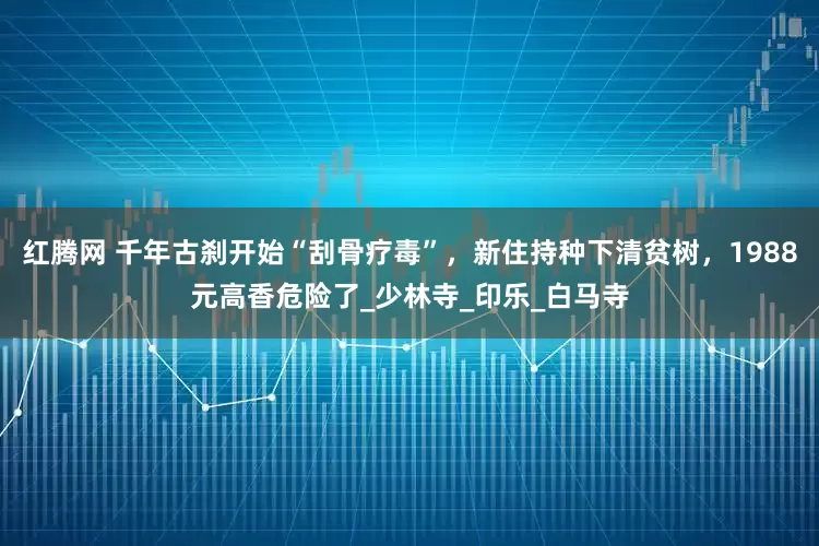 红腾网 千年古刹开始“刮骨疗毒”，新住持种下清贫树，1988元高香危险了_少林寺_印乐_白马寺